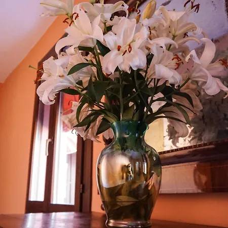 Affittacamere Antica Dimora Della Racchetta Ferrara