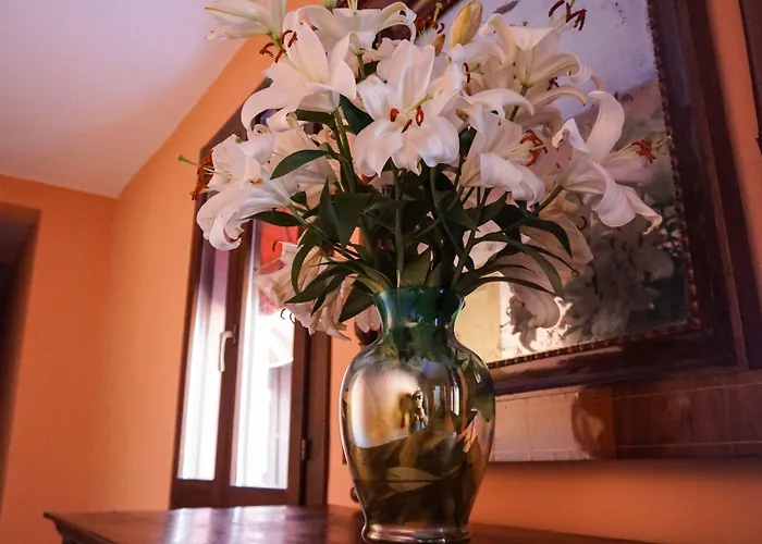 Pensión Antica Dimora Della Racchetta Ferrara